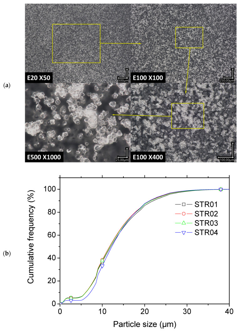 (a) Starch granule morphology from optical microscopy at different magnifications, and (b) particle size distribution prior to blending (c) calorimetric behavior of native maize starch.