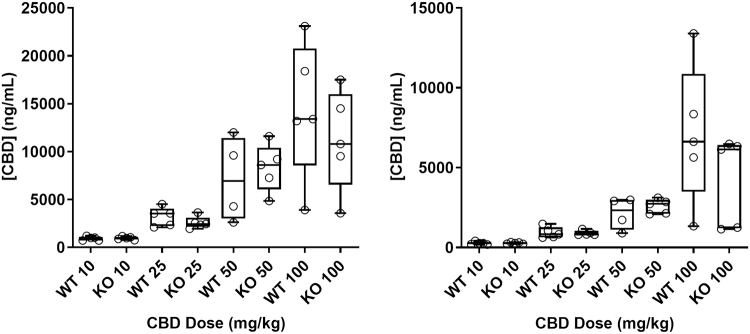 CBD exposure in WT and TRPV1 KO mice in plasma and brain. CBD exposure was measured 60 min after intraperitoneal injection of CBD in mice. n≤5 animals per group. Median CBD exposure is represented by a horizontal line and 25th and 75th percentiles by the box, whiskers indicate minimum and maximum values, and open symbols describe individual data points. Differences in exposure between genotype were assessed using a two-way ANOVA.