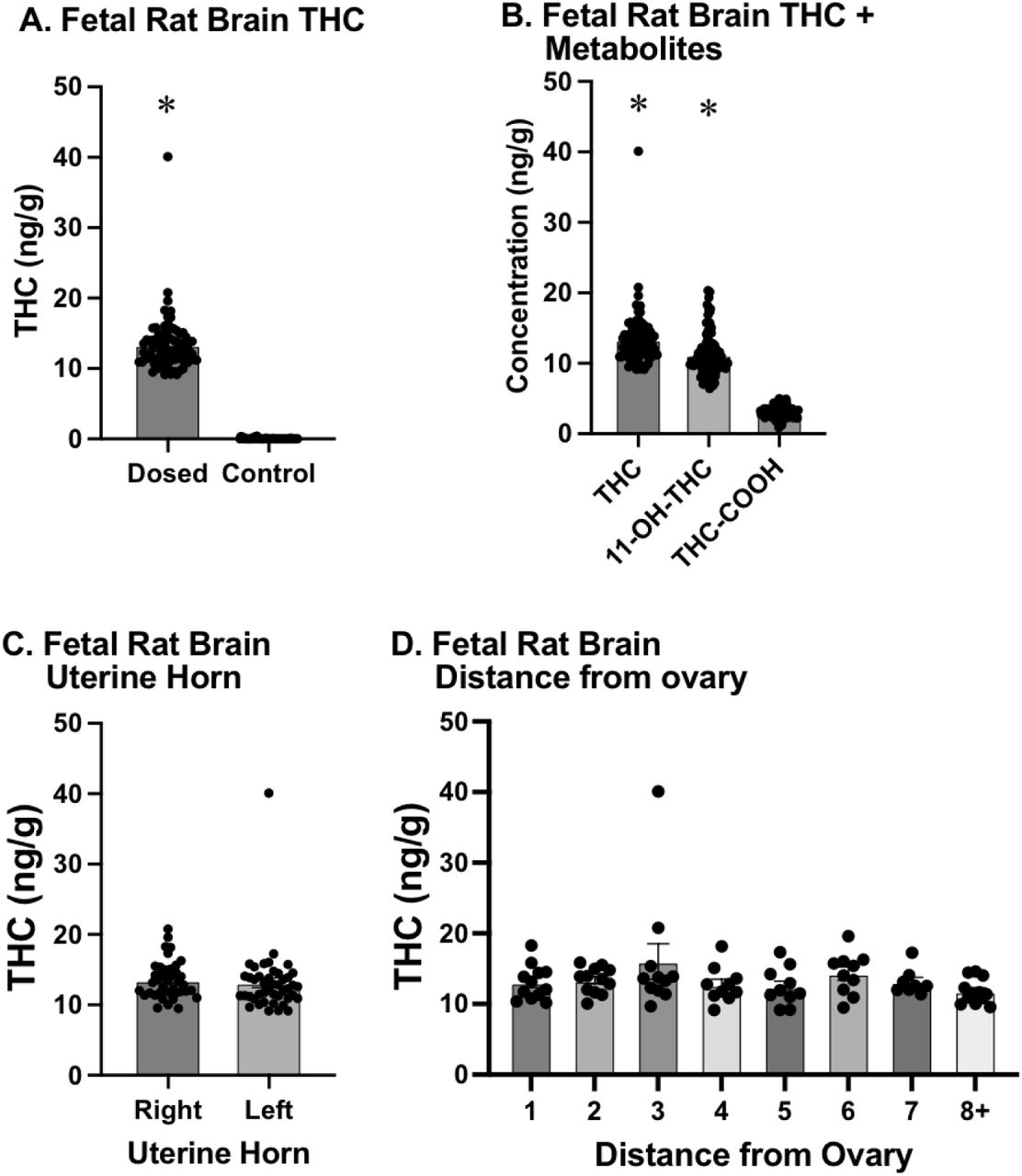 A) THC concentration (measured in ng of THC per g of tissue) in the brains of dosed (left) vs control (right) rat fetuses. There was significantly higher THC concentration in the brains of dosed subjects compared to control subjects, and no THC was detected in the brains of any of the control subjects. B) THC and metabolites in the fetal brain. Both THC (left) and 11-OH-THC (center) were found at significantly higher levels than COOH-THC (right) in the brains of fetuses dosed with THC. C) The concentration of THC in the brains of rat fetuses found in the left uterine horn (right) did not differ from those in the right uterine horn (left). D) Fetal position in the uterine horns was identified based on distance from the ovary, with 1 being adjacent to the ovary and higher numbers being progressively closer to the vaginal canal. THC concentration in fetal rat brains did not differ based on position within the uterine horn. * - indicates significantly different from all other groups