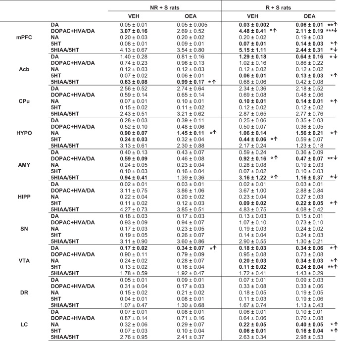 Tissue monoamine concentrations (ng mg–1 of wet tissue) and monoamine turnover in selected brain areas.