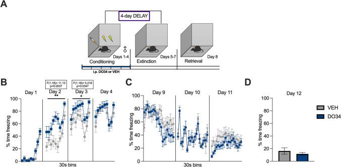Pharmacological inhibition of DAGL during conditioning followed by a 4-day delay restores subsequent extinction learning in male mice. (A) Schematic diagram of the experimental paradigm. (B) Percentage of time spent freezing during the acquisition of contextual fear when DO34 (50 mg/kg) was injected IP 2 h before each session. (C) Percentage of time spent freezing during extinction of contextual fear in the absence of drug treatment. (D) Percentage of time spent freezing during retrieval session. All values are presented as mean ± SEM (n= 10 male mice per condition)