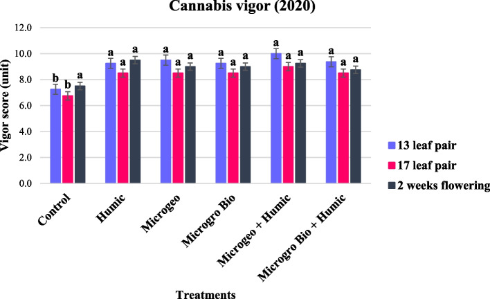 Cannabis vigor score collected in 2020 at three growing stages (13, 17, and 2 weeks flowering). Mean within a column followed the same letter by the same growth stage is not significantly different at the 0.05 probability level