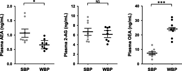 Circulating endocannabinoids concentration in brown bear plasma. Concentration of three major endocannabinoids compounds in bear plasma. Plasma were collected from bears at both winter-hibernating and summer-active time points (Supplementary Table S1). Data are expressed in ng/mL and are represented as mean ± SEM of separate extractions and quantifications (n = 8). Paired Student t-test were used to compare wummer and winter data. * indicates p value < 0.05 when comparing seasons, *** for p < 0.001, NS: non significant. AEA: anandamide, 2-AG: 2-arachidonoylglycérol, eCBs: endocannabinoids, OEA: N-oleoylethanolamine, SBP: summer bear plasma, WBP: winter bear plasma