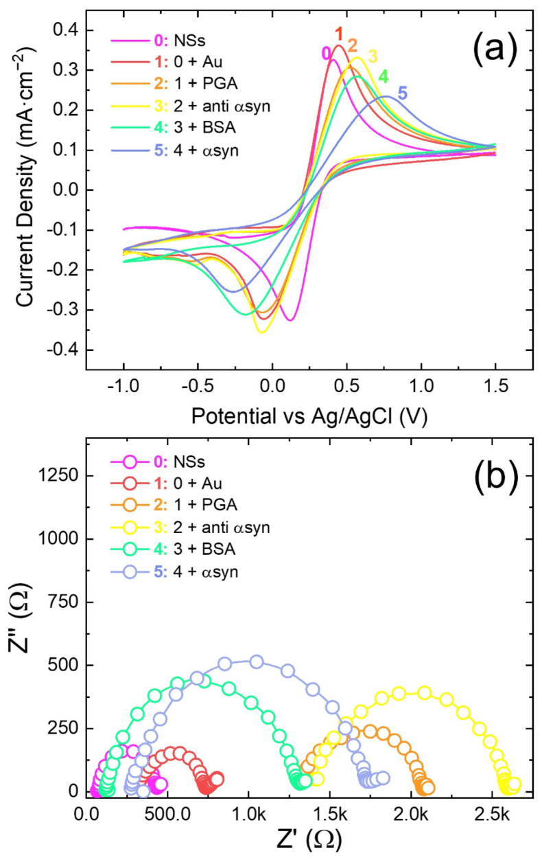 (a) Cyclic voltammograms and (b) corresponding electrochemical impedance spectra of the biosensor at the various fabrication steps: (0) NSs; (1) ZnO NSs + Au NPs; (2) NSs + Au + PGA; (3) ZnO NSs + Au NPs + PGA + anti-α-synuclein; (4) NSs + Au + PGA + anti-α-synuclein + BSA; and (5) ZnO NSs + Au NPs + PGA + anti-α-synuclein + BSA + α-synuclein. The CVs were recorded at 10 mVs−1; the EIS curves were recorded at a formal potential of 0 V; the α-synuclein concentration was of 3.5 pg·mL−1. Conditions: redox probe Fe(II)(CN)64−/Fe(III)(CN)63− 5 mM equimolar solution in PBS at pH 7.