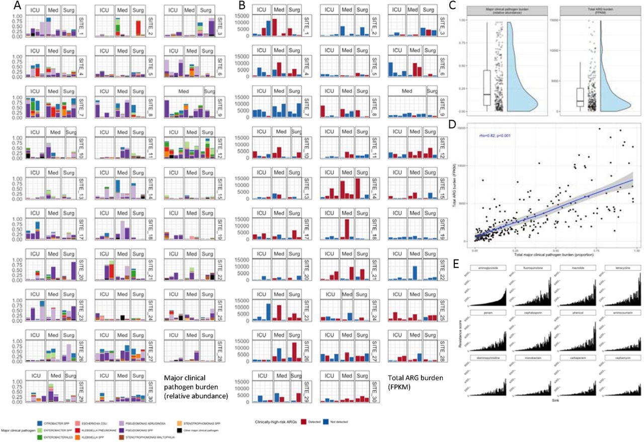 Distribution of major clinical pathogen and antimicrobial resistance gene (ARG) burden in sink-traps.A, Relative abundance (y-axis) of major clinical pathogen groups (colour) by individual sink-trap faceted by de-identified hospital site code and ward type. B, FPKM (fragments per kilobase million) (y-axis) of total ARG burden by individual sink-trap faceted by de-identified hospital site code and ward type, with colour indicating if clinically-high-risk ARGs were detected. C, Distribution of total major clinical pathogen burden and total ARG burden across all sink-traps. D, Relationship between total ARG burden (FPKM [y-axis]) and total relative abundance of major clinical pathogens (x-axis) by sink-trap (points), with Spearman’s rho and significance labelled and gam smooth trend line fitted with 95% confidence interval. E, Antibiotic class-level resistance (FPKM; y-axis) per sink-trap (x-axis) for the top 12 antibiotics (facets). The ordering of sink-traps along the x-axis is based on aminoglycoside resistance FPKM and then consistent across facets.