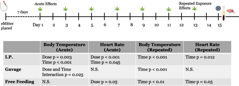 Changes in body temperature and heart rate following acute and repeated exposure. Temperature and heart rate data obtained from surgically implanted telemetry devices were analyzed on the first (Acute) and last (Repeated) treatment days to evaluate acute effects following initial and repeated exposure to Cannabis. Telemetry devices recorded body temperature and heart rate each minute and data were processed to generate an average of 6 readings per hour. Data were analyzed across time windows of 1 h increments, with windows designated as pre-dose, dose, post-dose 1, post-dose 2, post-dose 3, post-dose 4, post-dose 5, and post-dose 6. Therefore, a total of 8 h of data were considered. Two-way ANOVA was conducted