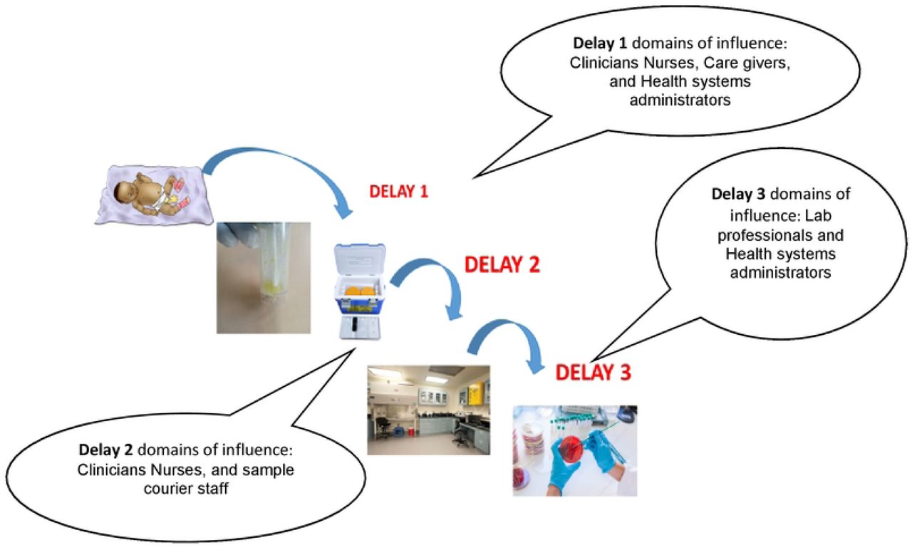 The 3 points of delay in stool sample collection, transport and processing