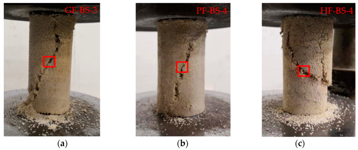 The specimens’ position was used for microscopic analysis: (a) GF-BS-3; (b) PF-BS-4; (c) HF-BS-4.