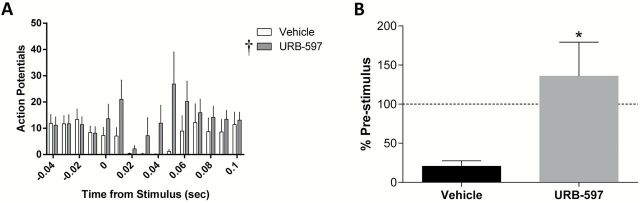 URB-597 inhibits the vHipp regulation of the VP. Stimulation of the vHipp induces a long-latency inhibition of spontaneous activity in VP neurons (A). This results in a decreased number of action potentials when compared to an equivalent pre-stimulus time (B). URB-597 attenuates this vHipp regulation of the VP. †main effect of treatment (two-way ANOVA); *significant difference between groups (Mann Whitney Rank Sum test).