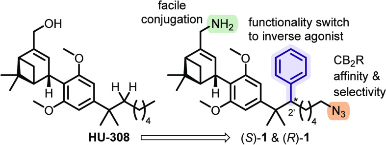 Design of inverse agonists (S)-1 and (R)-1.