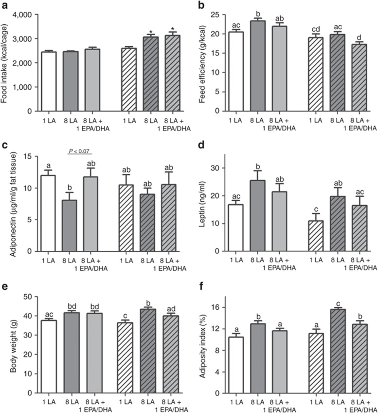 Dietary LA induces adiposity in mice fed medium-fat diets (open bars) and high-fat diets (coarse bars). Dietary LA of 8 en% increases (a) food intake in high-fat diets, (b) feed efficiency in medium-fat diets, (c) reduces plasma adiponectin (µg/ml/g fat tissue), and increases (d) plasma leptin (ng/ml). Compared to a diet of 1 en% LA, 8 en% LA also increases (e) body weight and (f) adiposity index. Adding 1 en% EPA/DHA reverses the effects of 8 en% diets. Feed efficiency; (body weight gain/Mcal intake), adiposity index ((subcutaneous + retroperitoneal + inguinal fat pads)/eviscerated body weight × 100). Adiponectin levels were adjusted for gram fat tissue dissected out (subcutaneous + inguinal + retroperitoneal fat pads). a,b,c,dDiffering letters indicate P < 0.05 by ANOVA, leptin, and adiponectin; n = 6, other parameters; n = 9–10. DHA, docosahexaenoic acid; EPA, eicosapentaenoic acid; LA,linoleic acid.