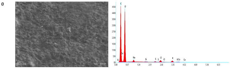 SEM and EDX analysis of functional polysaccharide films with CBG oil.