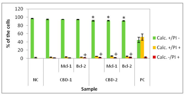 Percentage of 3D cultured cells Calc+/PI−, Calc+/PI+ and Calc−/PI+ after 48 h exposure to dendrimers and dendriplexes. Dendrimers concentration: 10 μM; CBD/siRNA molar ratio 20:1. * p < 0.05 vs. NC for group Calc+/PI−; + p < 0.05 vs. NC for group Calc−/PI+. n = 6.