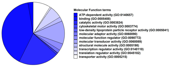 Pie chart of the classification of Gene Ontology terms related to Molecular Function. It is interesting to note that Panther classified most of the included DEGs in “ATP-dependent activity” (GO:0140657) and “binding” (GO:0005488) terms.