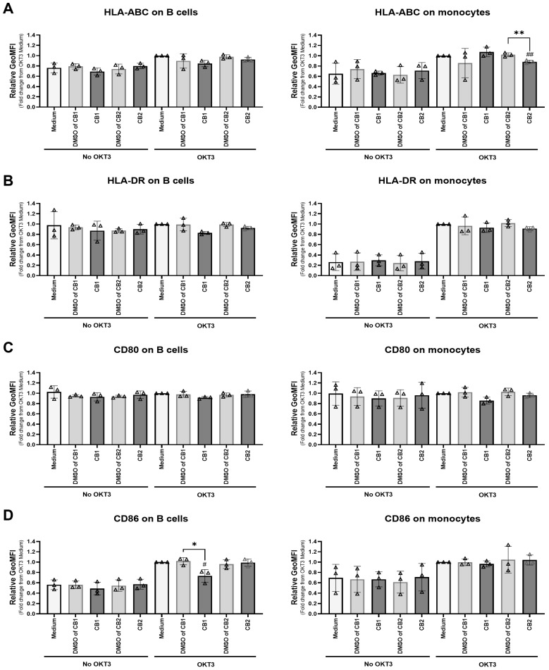 Different effects of CB1 and CB2 agonists on co-stimulatory molecules expressed on B cells and monocytes. PBMCs were stimulated with or without anti-CD3 mAb in the presence of 20 µM CB1 agonist ACEA or 5 µM CB2 agonists GW833972A and the results compared with those of the relevant concentrations of DMSO or medium control for 18 h. The surface expression levels of co-stimulatory molecules HLA-ABC (n = 3) (A), HLA-DR (n = 3) (B), CD80 (n = 3) (C), and CD86 (n = 3) (D) on CD19+ B cells and CD14+ monocytes were determined by flow cytometry. The relative geometric mean fluorescence intensity (GeoMFI of specific marker mAb staining/GeoMFI of isotype-matched control mAb staining) was normalized to the OKT3 and medium control condition as 1. The bar graphs show the relative GeoMFI (mean ± SD), where a triangle represents an individual datum. We used the unpaired t-test for comparing the DMSO control and tested condition results. * p < 0.05; ** p < 0.01. We used an unpaired t-test for comparing the medium control and tested conditions. # p < 0.05; ## p < 0.01.