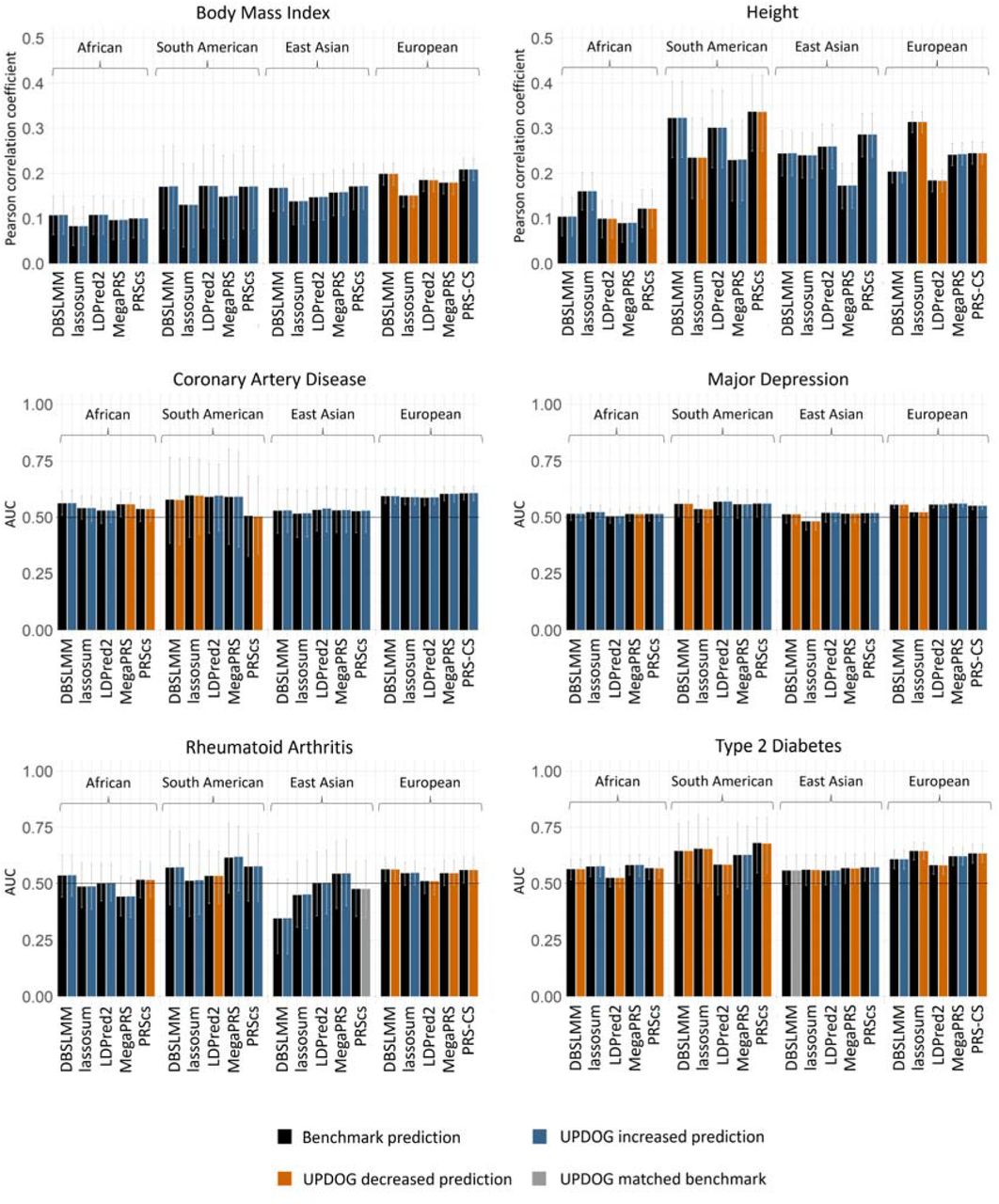 Predictive performance of UPDOG compared to benchmarks set by state-or-the-art tools. Performance was judged across six phenotypes (body mass index, height, coronary artery disease, major depression, rheumatoid arthritis, and type 2 diabetes) using the Pearson correlation coefficient for continuous traits and the area under the receiver operator characteristic curve (AUC) for binary traits. Error bars indicate the 95% confidence interval. Predictions were made in to four ancestries (African, South American, East Asian, and European) using effect size estimates from five state of the art-the-art tools (DBSLMM, lassosum, LDPred2, MegaPRS, and PRS-CS). The effect size estimates from the tools provide a benchmark (shown in black) with which to assess the performance of UPDOG when using those same effect sizes. No change in prediction is shown in grey, increased prediction in blue and decreased prediction in orange.