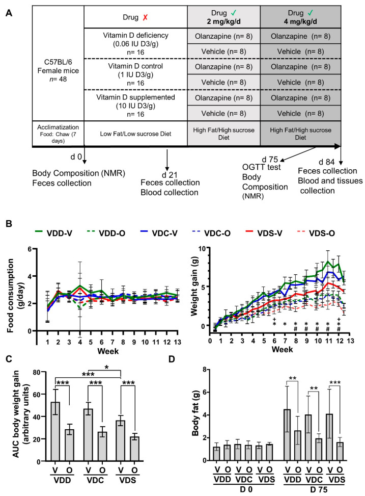 (A) Study design. Effect of vitamin D and olanzapine on (B) food consumption (left) and body weight (right; +, *, # p ≤ 0.05 for VDD-O vs. VDD-V, VDC-O vs. VDC-V, VDS-O vs. VDS-V, respectively), (C) AUC of body weight gain and (D) body fat mass of mice treated with olanzapine or vehicle on day 0 and day 77. * p ≤ 0.05; ** p ≤ 0.01; *** p ≤ 0.005. All data are shown as mean ± SD, n = 8 per group). VDD, Vitamin D Deficiency; VDC, Vitamin D Control; VDS, Vitamin D supplemented; O, Olanzapine; V, Vehicle.