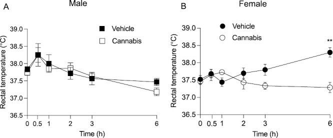 Body temperature following oral cannabis consumption. (A) Male mice do not show a temperature effect of oral cannabis. (B) Female mice show a delayed hypothermic effect of oral cannabis 6 hours post consumption. Data are presented as mean ±SE, n = 6–7.