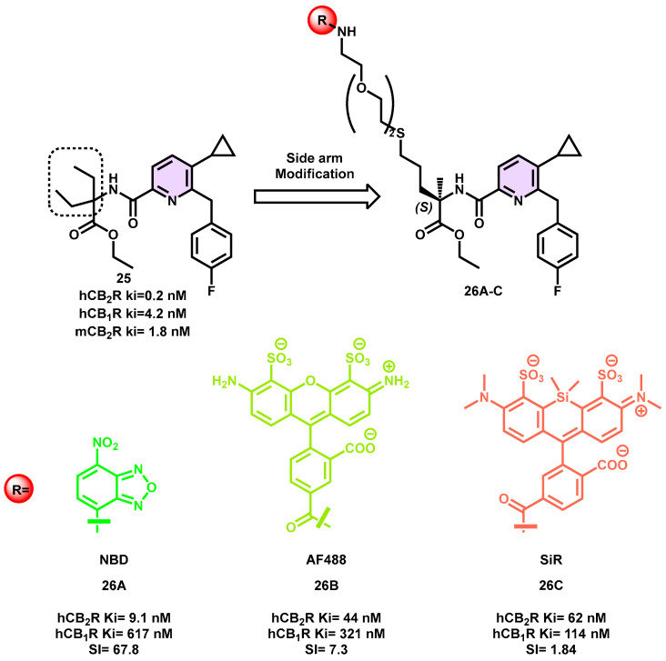 Pyridine-based CB2R fluorescent probe.