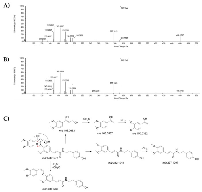 TOF-MS/MS spectra of compounds (A) 19 and (B) 20, tentatively identified as cannabisin H isomers. The proposed fragmentation pathway of their [M − H]− ion was reported (C); the theoretical m/z value is reported below each structure.