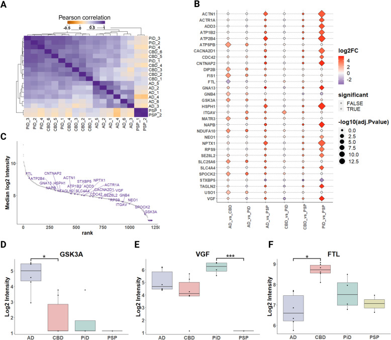 Analysis of differential protein association with phospho-tau lesions across tauopathies. A Sample correlation plot generated using abundance values for the proteins significantly changed in at least one of the pairwise comparisons between the tauopathies. B Log2 fold changes for proteins with significant changes in association with phospho-tau in each pairwise comparison presented as a dot plot. Diamond shape indicates statistically significant difference (adjusted p-value < 0.05). C Dynamic range of median protein intensities in the mass spectrometry proteomics data. Significantly changed proteins are shown in purple. D Summarized GSK3α protein intensity in tauopathies measured by mass spectrometry. E Summarized VGF protein intensity in tauopathies measured by mass spectrometry. F Summarized FTL protein intensity in tauopathies measured by mass spectrometry. Abbreviations: GSK3α, glycogen synthase kinase 3 alpha; FTL, ferritin light chain; AD, Alzheimer’s disease; PiD, Pick’s disease; CBD, corticobasal degeneration; PSP, progressive supranuclear palsy