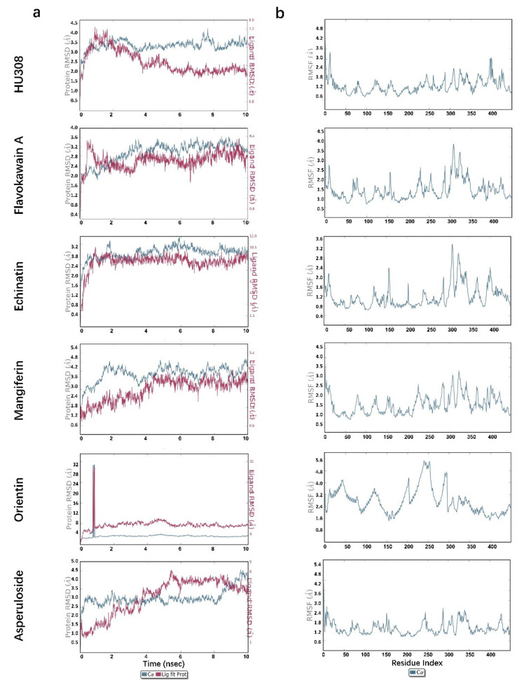 Molecular dynamics analysis of HU308 and representative screened compounds with CB2 protein. (a) RMSD analysis and (b) RMSF analysis.