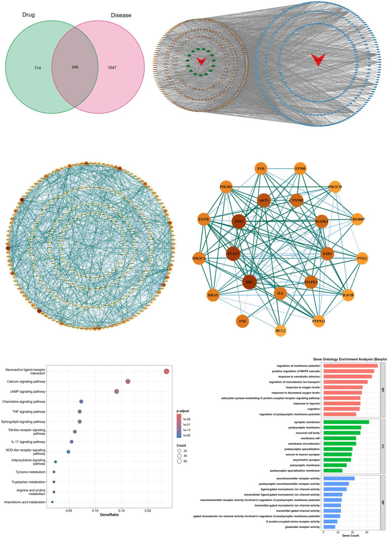 Figure contains six visual data panels. Panel A features a Venn diagram with overlapping green and pink circles labeled Drug and Disease, showing 774, 1547, and 346 in the respective regions. Panel B displays a network diagram with two concentric circle groups, interconnected by many gray lines and red arrows at the center. Panel C presents a dense circular network map with nodes in orange and yellow, connected by teal lines. Panel D features a simplified network visualization with labeled orange nodes such as TP53, FOS, and EGFR, connected by teal edges. Panel E is a dot plot showing gene pathway enrichment; circles vary in size and color by count and p-value, with pathways like neuroactive ligand-receptor interaction and calcium signaling listed on the y-axis. Panel F is a horizontal bar graph for gene ontology enrichment, divided into sections by bar color, with processes like regulation of membrane potential and synaptic membrane labeled on the y-axis and gene count on the x-axis.