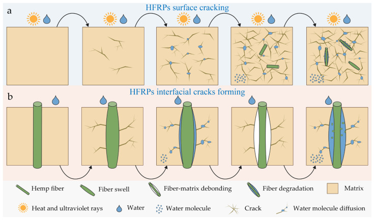 Schematic illustration of the long-term environmental aging mechanism of HFRPs: (a) surface crack initiation and propagation; (b) interfacial crack formation and propagation at the HFs–PP interface.