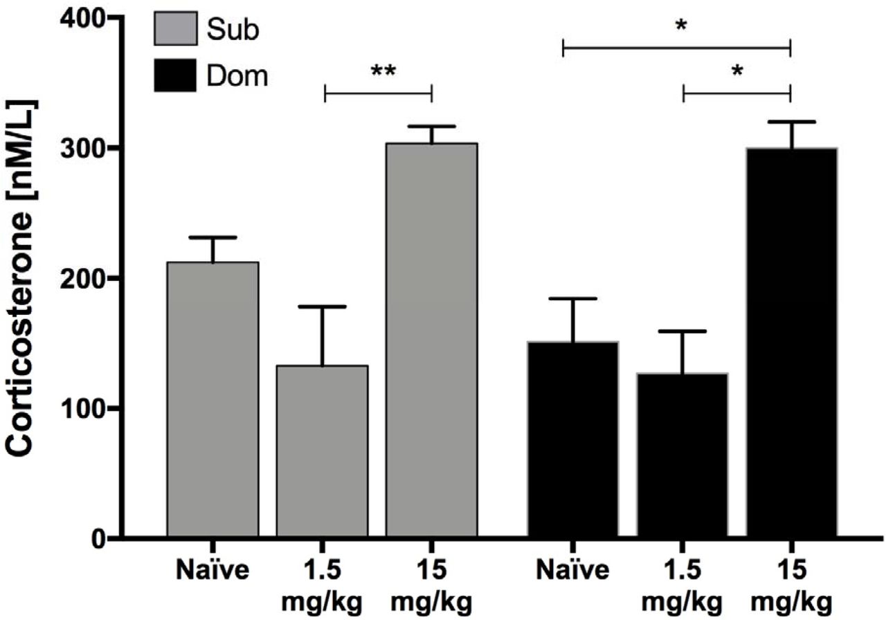 Serum CORT concentration following acute stress and second CPP test (two-way ANOVA with Tukey’s post hoc analysis, treatment effect F(2,24)=18.21, P<0.0001; mouse population effect F(1,24) = 0.97, P=0.33; interaction F(2,24) = 0.6187 P=0.54; n = 5 mice/group; *P<0.05, **P<0.05, data are presented as delta ± SEM.