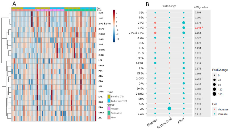 (A) Time-series hierarchical cluster analysis. The heat map visualized the levels of eCBome-related mediators according to each time and for each participant. Colored boxes indicate the normalized concentration of the corresponding eCB-related mediator from blue (lowest) to red (highest). Columns correspond to samples and rows to the eCB-related mediators. The algorithm for heatmap clustering was based on the Euclidean distance measure for similarity and Ward clustering algorithm. (B) Fold change in eCB-related mediators according to the group expressed in percentage. The size of the dot is proportional to the value of the fold change calculated within each group. The blue dots represent positive fold changes, meaning that the corresponding parameter had increased in average percentage following the treatment according to the baseline value, while the red dots represent negative fold changes, meaning that the corresponding parameter had decreased in average percentage following the treatment. The “K-W p-value” column shows the approximate p-value of the Kruskal–Wallis statistical test applied to the row delta taking into account the 3 groups. * Red writing: p < 0.05; bold writing 0.1 > p-value > 0.05. Placebo group, n = 11; pasteurized bacteria group, n = 12; alive bacteria group, n = 9. Abbreviations: see Table 1.