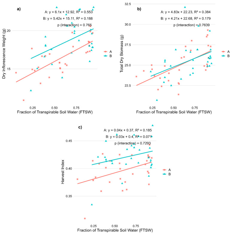 Effects of water availability (FTSW) during the flowering stage on morphological traits in two CBD-dominant Cannabis sativa L. varieties. (a) Dry inflorescence weight; (b) Total dry biomass; and (c) Harvest index. Regression lines represent the relationship between stress levels (expressed as Fraction of Transpirable Soil Water, FTSW) and each trait for each variety (A, red squares: ‘Fenomoon’; B, blue triangles: ‘Harlequin’). p-values for the interaction term (Stress × Variety) are reported in each panel.
