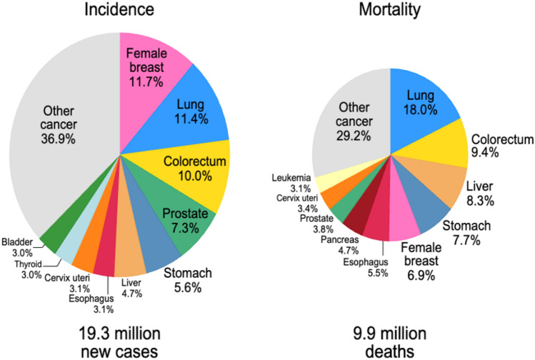 Distribution of Cases and Deaths for the Top 10 Most Common Cancers in 2020 Globally. The image elucidates colorectal cancer (CRC) as a significant global health concern, accounting for 10.0% of new cancer cases and 9.4% of cancer-related mortalities. Despite its classification as the third most prevalent malignancy, the high mortality rate associated with CRC emphasizes the imperative for early screening protocols, advanced therapeutic interventions, and preventive strategies. (Reproduced from [1] Sung et al. 2021, CA: A Cancer Journal for Clinicians, under Creative Commons Attribution License CC-BY)