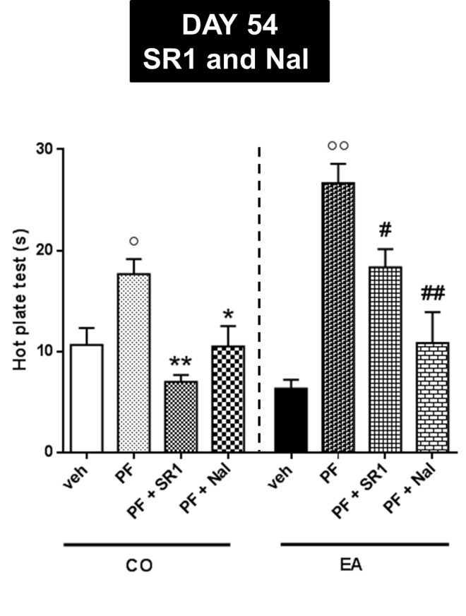 Pain threshold by hot plate test performed at day 54 for evaluating CB1 and opioid receptor involvement. CB1 antagonist, SR1416A (SR1, 1 mg/kg), and an opioid antagonist, naloxone (Nal, 1 mg/kg), were administered in CO and EA rats 1 h before performing hot plate test. In PF-CO and PF-EA rats, treatment with both CB1 and mu-opioid receptors antagonists was able to blunt the effect of FAAH inhibitor (*P < 0.05, **P < 0.01 vs. PF-CO; # P < 0.05 and ## P < 0.01 vs. PF-EA; ° P < 0.05 and °° P < 0.01 vs. veh). Data are shown as mean ± SEM for all groups (n = 6).