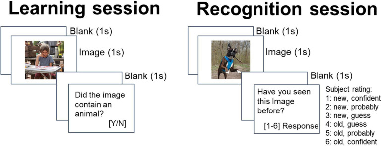 Trial structure at learning and recognition.