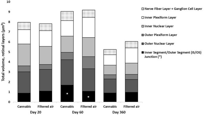Mean total volume of each retina layer under stereology of the offspring of pregnant mice exposed to Cannabis smoke or filtered air during pregnancy. *P = 0.008 (MANOVA, 95% CI: 0.8–1.5, age*exposition)