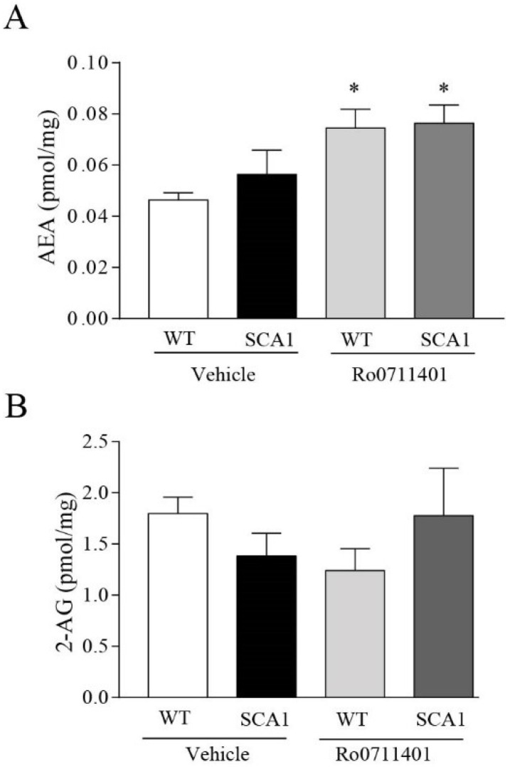 Increased hippocampal levels of AEA in 8-week-old SCA1 mice and their wild-type littermate treated with Ro0711401. Increased AEA hippocampal levels in the SCA1 mice model and wild-type littermates treated with Ro0711401 are shown in (A), while no changes in hippocampal 2-AG levels are shown in (B). * p < 0.05 vs. WT vehicle. Statistical analysis was performed by two-way ANOVA + Bonferroni test. Genotype, F1,18 = 0.7344, p = 0.4027; treatment, F1,18 = 12, p = 0.0028; interaction, F1,18 = 0.3286, p = 0.5735. Values are means ± SEM of 5–6 (A) and 6–7 (B) mice.