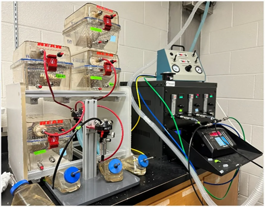 Automated vaping exposure system. A prototype of an automated exposure system (CSM-eSTEP) that includes an e-cigarette puffing machine, developed for small-scale inhalation exposure. In this study, we used the CH Technologies Modular BCU Exposure Chamber that are ideal for small-scale whole-body exposure studies. We adopted the Electronic Cigarette Aerosol Generator (ECAG) platforms that are designed specifically for electronic cigarettes and all vape products from the ground up. Here, instead of vaping liquids, e-cigarette cartridges were filled with CBD solution. This novel positive pressure system allows for more accurate physicochemical characterization and delivery at the exhaust port, reducing aerosol aging, and tube deposition, and eliminating artifacts that could be introduced from background air. The ECAG was designed to accommodate one-piece disposable electronic cigarettes (i.e., cig-alikes), in addition to the refillable tank/clearomizer 2nd thru 4th generation devices. CBD aerosols were generated from electronic cigarette (E-Cig) cartridges filled with 1 ml of CBD solution instead of vape fluid. CH Technologies aerosol generator generated CBD puffs (10 puffs for every 5 min, which repeated every 25 min up to 2 h)