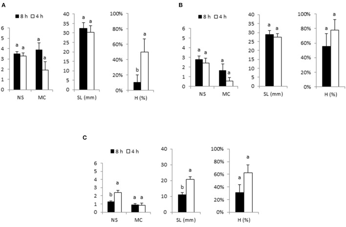 Effect of immersion frequency (every 8 or 4 h) on proliferation rates of apical sections of Beatriz (A), Moniek (B), and Mati (C) genotypes cultured in RITA® vessels. Explants were grown in MS medium with half-strength nitrates and 2-μM metatopoline. Immersion duration was set at 1 min. Ten explants/RITA® were used for Beatriz and Moniek and 16 explants/RITA® for the Mati genotype. The data were recorded after 4 weeks of culture. The values represent the mean ± standard error. For each variable, different letters indicate significant differences at p < 0.05. NS, number of shoots per explant; MC, multiplication coefficient; SL, length of the longest shoot (mm); H, percentage of hyperhydric shoots.