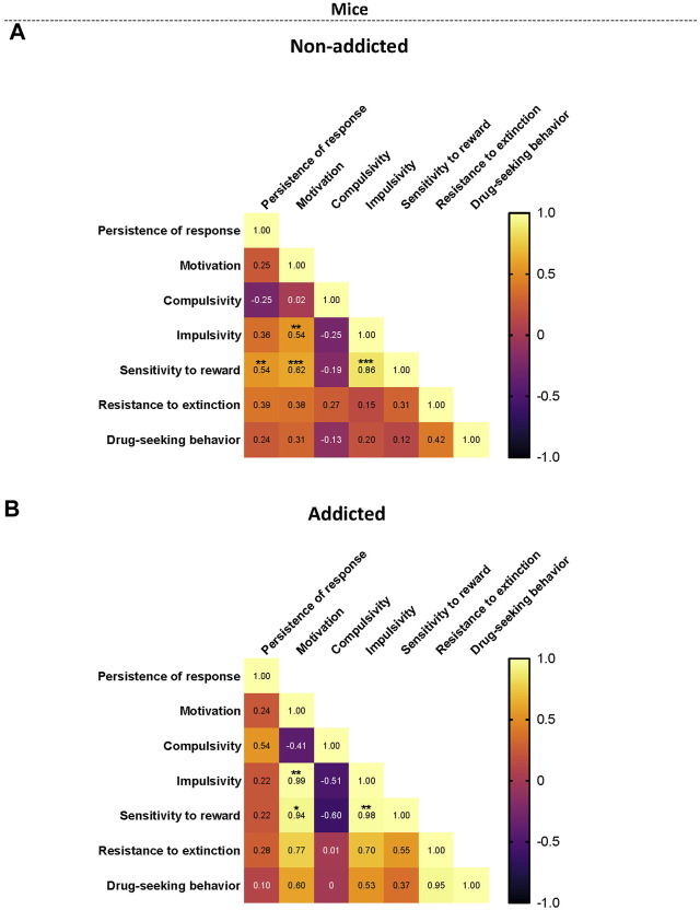 Correlation heatmaps of the variables of cannabinoid addiction criteria, parameters related to craving, and phenotypic vulnerability traits. (A–B) Pearson correlations between the three addiction-like criteria, the two parameters related with craving and the two phenotypic traits in both (A) non-addicted and (B) addicted groups. (*p < 0.05, **p < 0.01, ***p < 0.001).