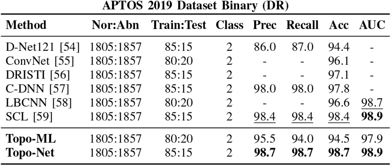 Accuracy results for binary DR diagnosis.