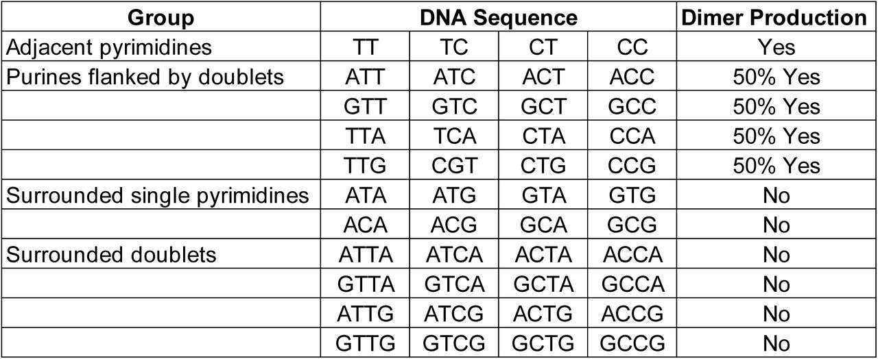 Potential Dimerization Sequences