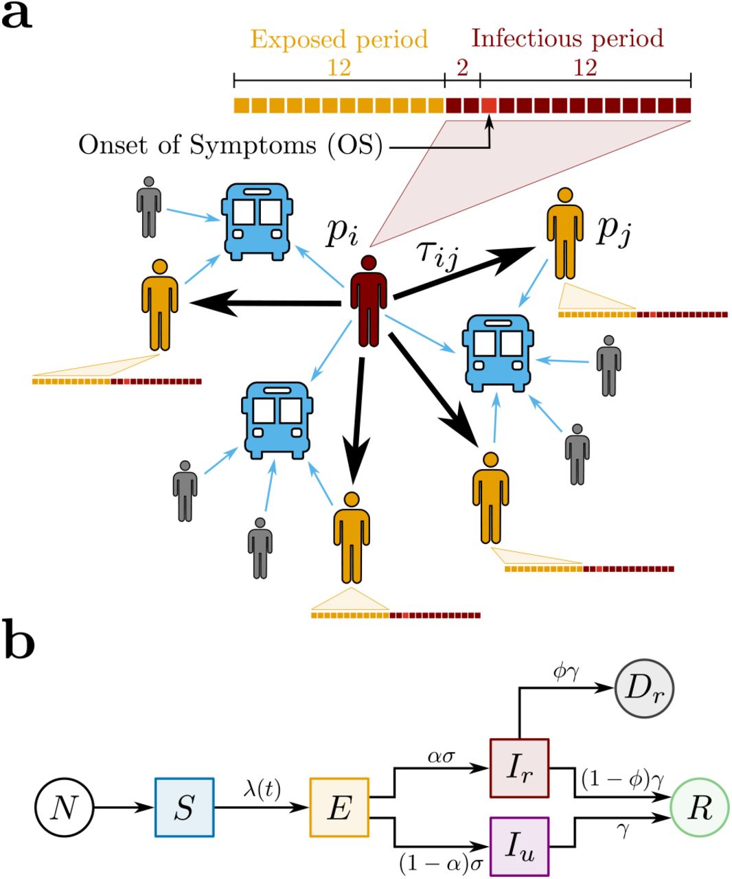 Proposed Models for COVID-19 and Spreading Scenarios.(a) Potentially Infectious Contacts (PICs). We define a PIC when an infectious passenger pi (in red) and an exposed passenger pj (in yellow) share the same bus. The weight τij is the estimated value of the ride time shared by pi and pj. The time lines show the infectious (in red) and the exposed periods (in yellow) of each passenger, where each square represents one day. The time lines are built based on the Onset of Symptoms (OS). Precisely, the infectious period begins 2 days before OS and ends 12 days after OS, while the exposed period begins 14 days before OS and ends 2 days before OS. Other passengers (in gray), even though they have shared the same bus with pi, either were not notified as COVID-19 cases or, however notified, they were not considered as PICs because they were not in their exposed period. (b) The SEIIR model. The total population of size N provides the susceptible population S (in blue). The susceptible individuals become exposed E (in yellow) at a time-dependent rate λ(t). The exposed individuals become infectious at a time rate σ. A fraction α of the infectious population is reported Ir (in red), while a fraction (1 − α) is unreported Iu (in purple). The infectious individuals that recover, reported or not, become recovered R (in green) at a time rate γ. Finally, it is assumed that a fraction ϕ of the removed population γIr deceases Dr (in dark gray).