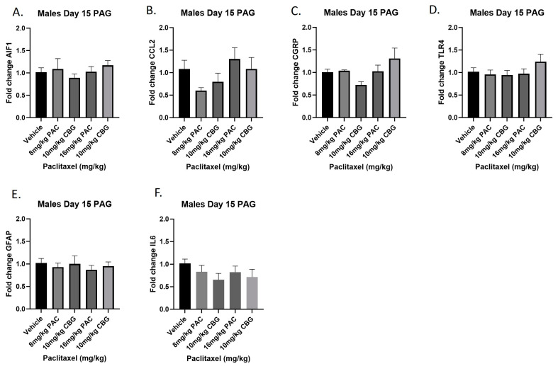 Prophylactic CBG administration prevents increased expression of inflammation and pain markers (A–F) in the PAG of male C57Bl/6 mice. Mice are treated with vehicle or CBG (10 mg/kg i.p.) 30 min prior to vehicle or paclitaxel (8.0 or 16 mg/kg i.p.) on Days 1, 3, 5, and 7 in a between-subjects design (n = 3–5/group). Mice are euthanized on Day 15 and PAGs are harvested for RT-PCR analysis. Results demonstrate that paclitaxel exposure does not alter gene expression in the PAG.