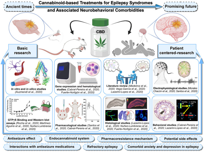 Sketch of the Research Topic's main issues. Advances in the knowledge of cannabinoid-based treatments for epilepsy syndromes and associated neurobehavioral comorbidities should be fostered by greater integration between basic and patient-centered research. This Special Research Topic brings together scientific studies in experimental models and patients with epilepsy using a broad range of cutting-edge techniques, including molecular, histological, electrophysiological, pharmacological, and behavioral approaches as well as in silico and in vitro methodologies. In addition, it also contains integrative literature reviews that generate new frameworks and perspectives on the topic. This Topic collectively provides a comprehensive insight into the anticonvulsant effects of cannabidiol (CBD), role of the endocannabinoid system, pharmacoresistance mechanisms, potential interactions with classic antiseizure medications, possible side effects, with a view to tackle the use of cannabinoids in refractory epilepsy as well as comorbid anxiety and depression in epilepsy. Articles shown in the figure were grouped by methods and experimental approaches. Figure created with Canvas Software and icons based on Biorender.com.