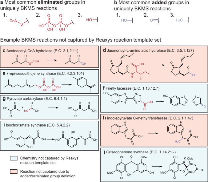 Comparison of synthetic and enzymatic reaction sets.Most commonly, a eliminated and b added substructures in reactions from the BKMS dataset that were not captured by the Reaxys dataset reaction templates. c–j Reactions from the BKMS dataset that were not recovered by applying any of the Reaxys dataset reaction templates to the product molecules. Reactions where the underlying chemistry exists in the Reaxys dataset but the reaction is not captured because of how eliminated/added groups are handled are highlighted in orange and reactions which are truly not captured by the chemistry in the Reaxys dataset are highlighted in blue.