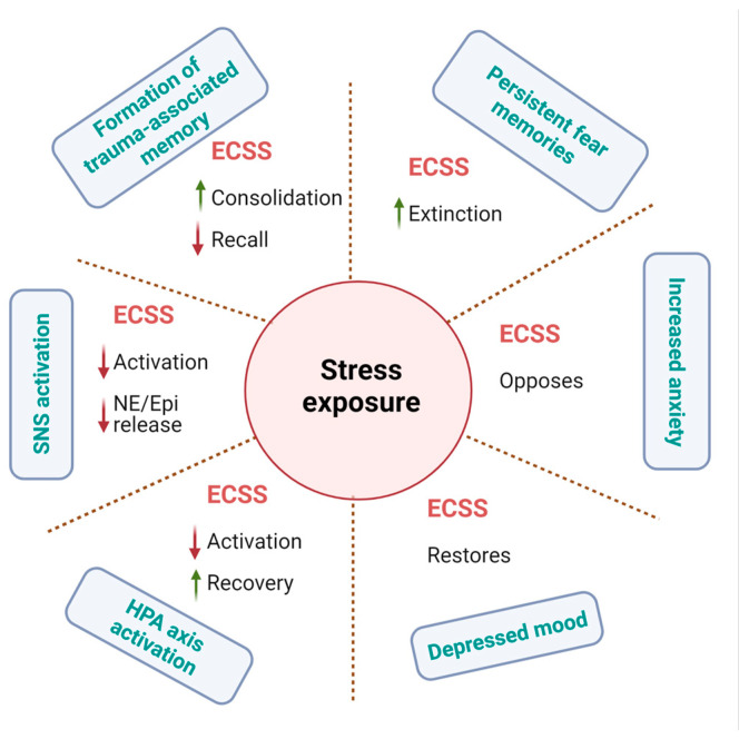Schematic illustration showing stress associated abnormalities and role of cannabis. This figure was created with BioRender.com.
