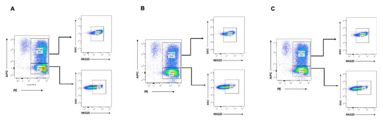 (A) The differential expression of the natural killer group 2 member D (NKG2D) receptor in the main cell subsets of human CIK cells, i.e., CD3+ T lymphocytes (CD4+ and CD8+) and CD3+CD56+ NKT cells: The surface NKG2D expression was evaluated. The CIK cells were immunophenotyped at day 14 by flow cytometry. In the untreated, both T lymphocytes subsets CD3+ T lymphocytes 60.2% and CD3+CD56+ NKT 35.5% showed high expressions of NKG2D receptor 74% and 98.5%, respectively. (B) In the untreated CBD 10 µM, both T lymphocytes subsets CD3+ T lymphocytes 68.5% and CD3+CD56+ NKT 26.8% showed high expressions of NKG2D receptor 68.4% and 97%, respectively. (C) In the DMSO control, both T lymphocytes subsets CD3+ T lymphocytes 62% and CD3+CD56+ NKT 33.3% showed high expressions of NKG2D receptor 69.7% and 97.8%, respectively.