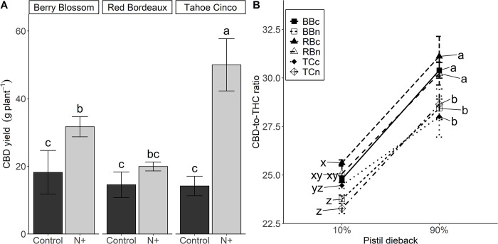 CBD yield (A) and CBD-to-THC ratio (B) at 10% and 90% pistil dieback for N+ (n) and control (c) treatments of cultivars Berry Blossom (BB), Red Bordeaux (RB) and Tahoe Cinco (TC) grown under field conditions. Values are mean ± standard error (A and B: n = 3–4). Means followed by different letters are statistically different at P<0.05. Compact letter display for pistil dieback at 10% and 90% were analyzed separately (10%: x-z; 90%: a-d). (A) N treatment P<0.001, Cultivar P = 0.002, N treatment x Cultivar P = 0.002. (B) Pistil dieback P<0.001, N treatment P = 0.001, Cultivar P<0.001, N Treatment x Cultivar P = 0.053, Pistil dieback x N Treatment P = 0.592, Pistil dieback x Cultivar P = 0.357.