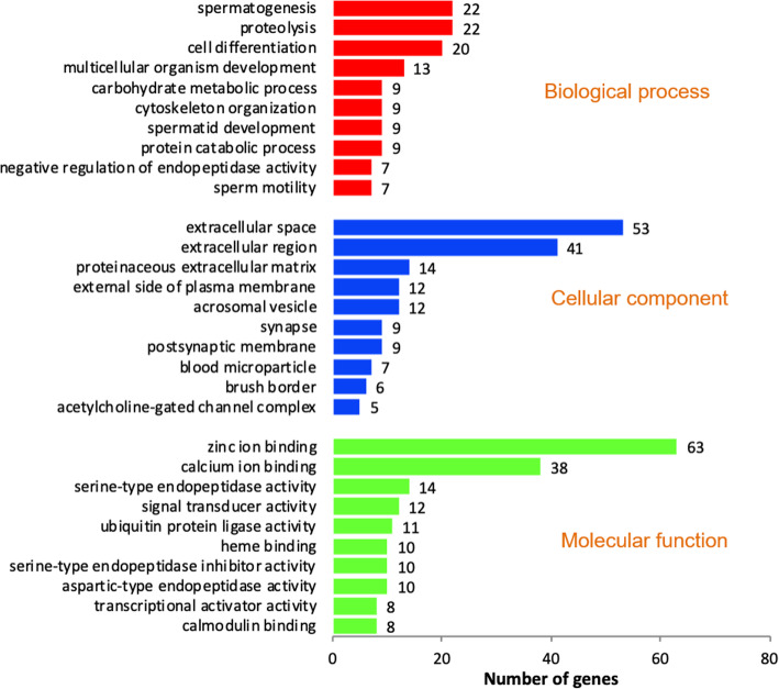 Functional classification of upregulated transcripts in crossbred testes based on the gene ontology terms