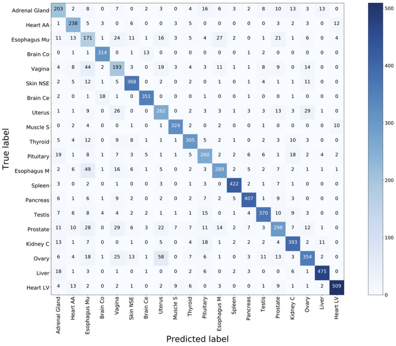 Confusion matrix for SVM on ResNet for HINT20.Entries are counts of predicted vs true label for the 20 tissues. Heart AA: Heart-Atrial Appendage; Heart LV: Heart-Left Ventricle; Esophagus Mu: Esophagus-Mucosa; Esophagus M: Esophagus-Muscularis; Brain Co: Brain-Cortex; Brain Ce: Brain-Cerebellum; Skin NSE: Skin-Not Sun Exposed (Suprapubic); Muscle S: Muscle-Skeletal; Kidney C: Kidney-Cortex.